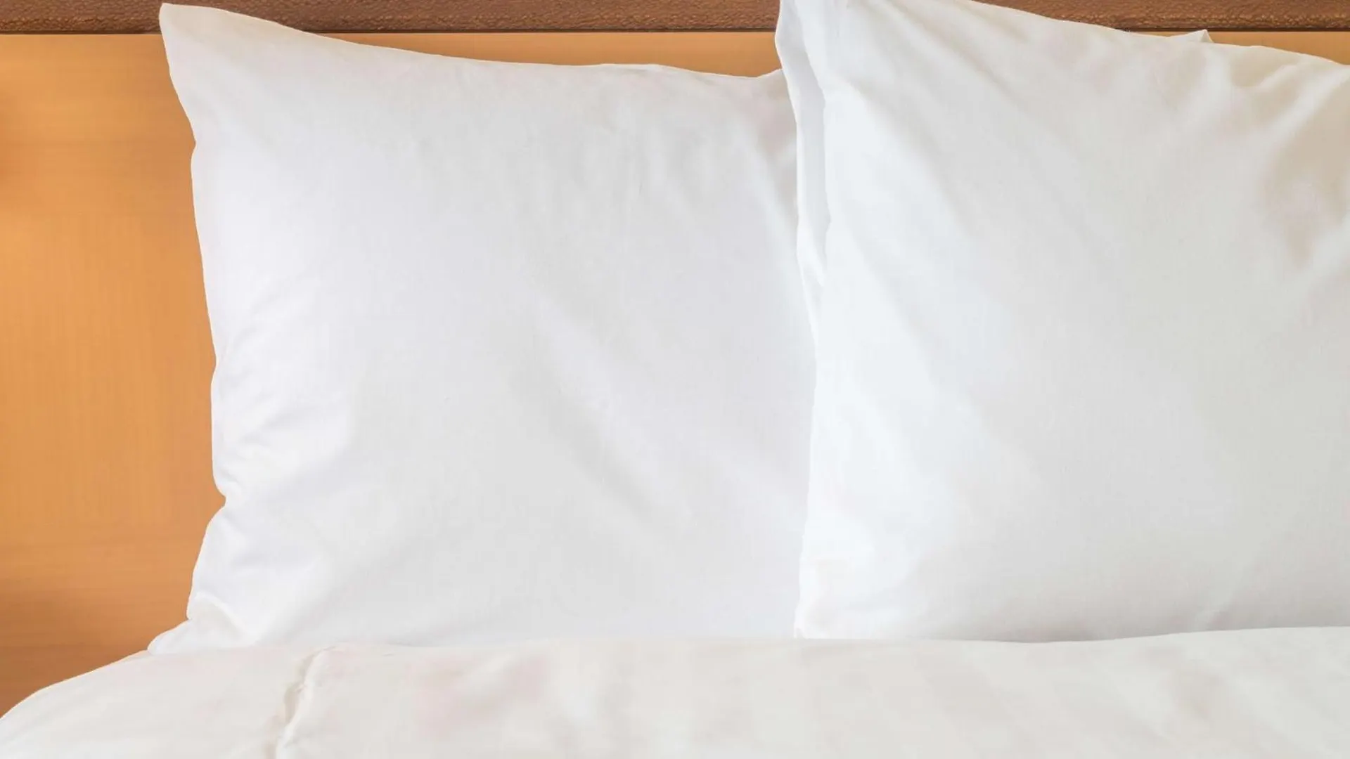 Holiday Inn - Eindhoven Airport By Ihg Hollanda